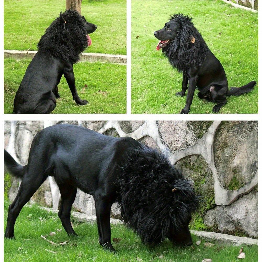 Парик Львиная грива с ушами для собак - Головной убор для питомца на Хэллоуин