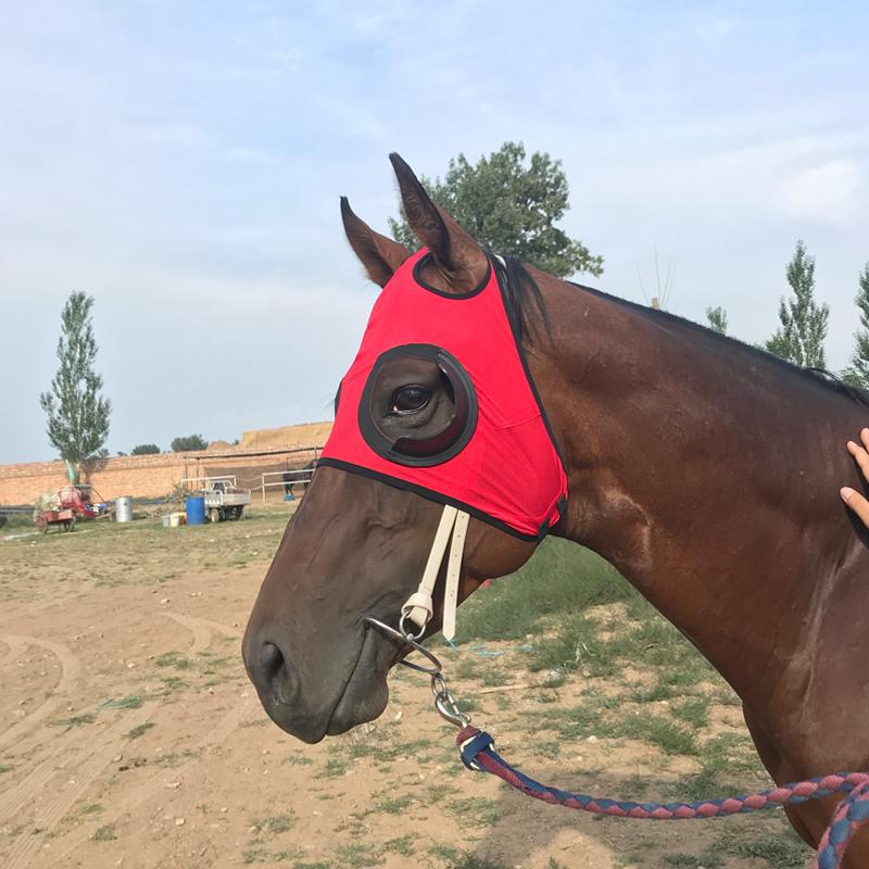 Ot Boshini Qoplami, Shamolga Chidamli Ko'z Maskasi, Tezlikka Poyga Ko'zoynaklari, To'rli Maskasi, Traxoma, Sim Jgut Qoplami,