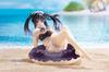 Date A Live V Фигурка Aqua Float Girls Токисаки Куруми Обновленная