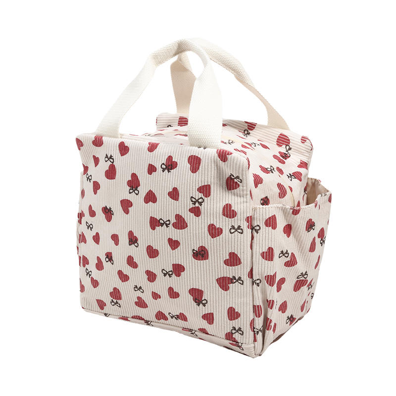 Lightweight Large Capacity Lunch Box Bag Cute Portable Bento Insulation Tote Bag for Commuting Office