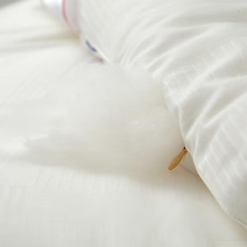 Tianqin Rococo Royal Silk Blend Winter Quilt