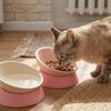 Anti-Tip Tilted Pet Bowl Adjustable Angle Neck Care Bowl Food & Water Bowl  Neck Protection