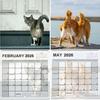 2026 Cat Ball Calendar Jan.2026 - Dec.2026 12 Monthly Wall Calendar with Hilarious Feline Moments Gag Gift for Cat Lovers