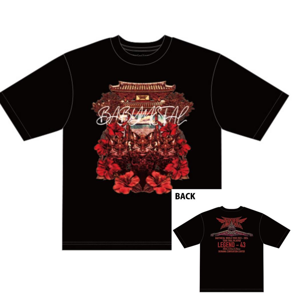 METAL SPIRITS BABYMETAL Футболка с принтом Хлопок Графическая футболка Унисекс Унисекс Летняя Уличная одежда