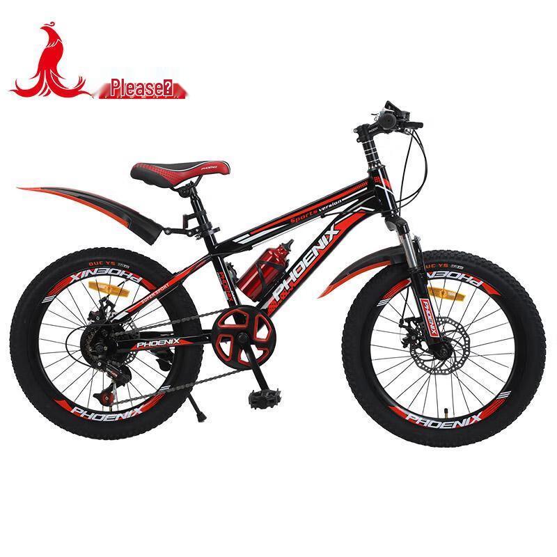 Phoenix 20-inch 7-Speed Mountain Bike