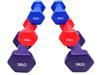 Coated Cast Iron Dumbbell