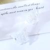 Butterfly Small Side Clip Women Hair Accessories Transparent Hair Claw Korean Style Hair Clip