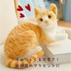 Miaomyao Plush Toy, Brown Tabby Cat, Fluffy, Soothing Item, Birthday Gift for Kids and Adults, 28cm
