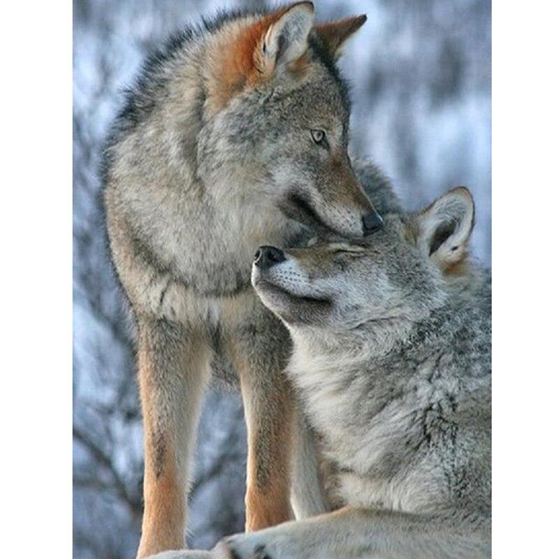 5D DIY Алмазная картина Набор Пейзаж Волк Искусство Алмазная вышивка Стразы Украшения для дома