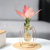 Скандинавский стиль DIY Суккулентный цветочный горшок Золотая рамка Прозрачный гидропонный цветочный горшок Домашнее украшение Настольное украшение Ваза для цветов