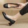 Single Shoes Women's Medium Heel 2025 Spring New Korean Version Fashion Versatile Thick Heel Square Head Grandma Shoes Black Work Shoes