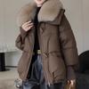 Fashion Winter Parkas for Women Outerwears Hooded Plus Size Loose Faux Fur Collar Thick Warm Women's Winter Jackets