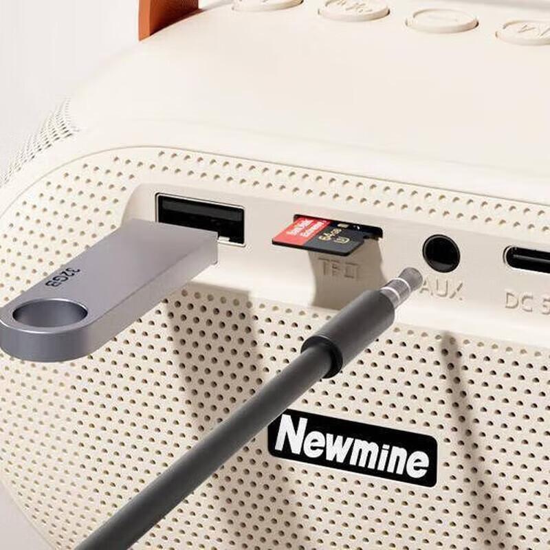 Newmine KS11 Portable Karaoke Mini Speaker