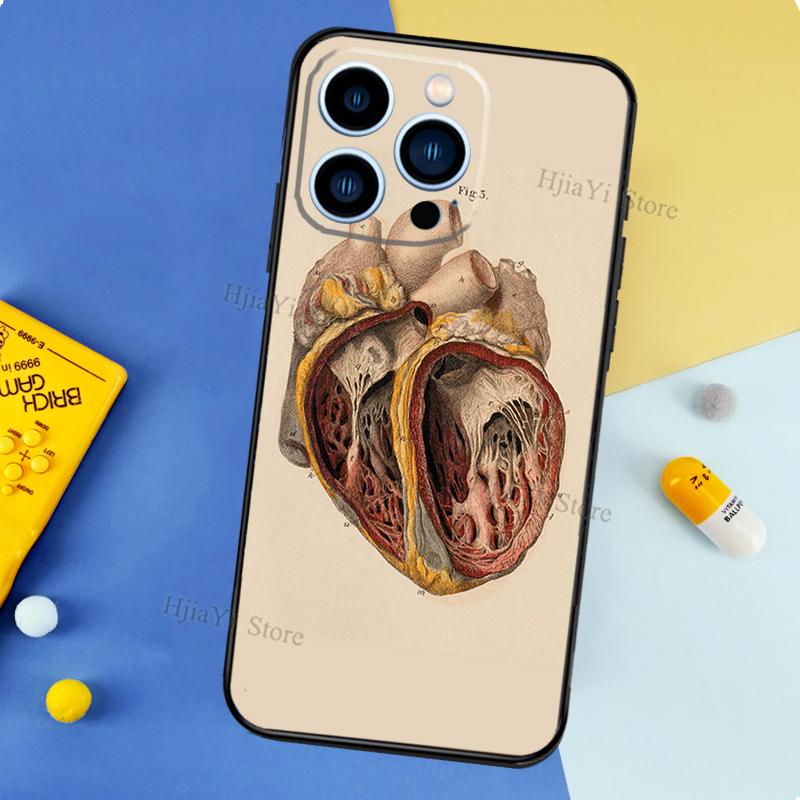 Чехол с анатомией человека для iPhone 13 Pro Max 12 Mini 11 14 15 16 XS MAX XR Plus Силиконовый чехол для телефона