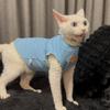 Sphynx Cat Clothes Stretch Breathable Sleeveless Vest Thin Pet Apparel Hairless Cats