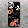 Andreil Все для игры Лисы штата Палметто Чехол для телефона Для iPhone 17 16 15 14 13 12 11 Pro Max Mini Plus Air 7 SE 8 Мягкий силикон