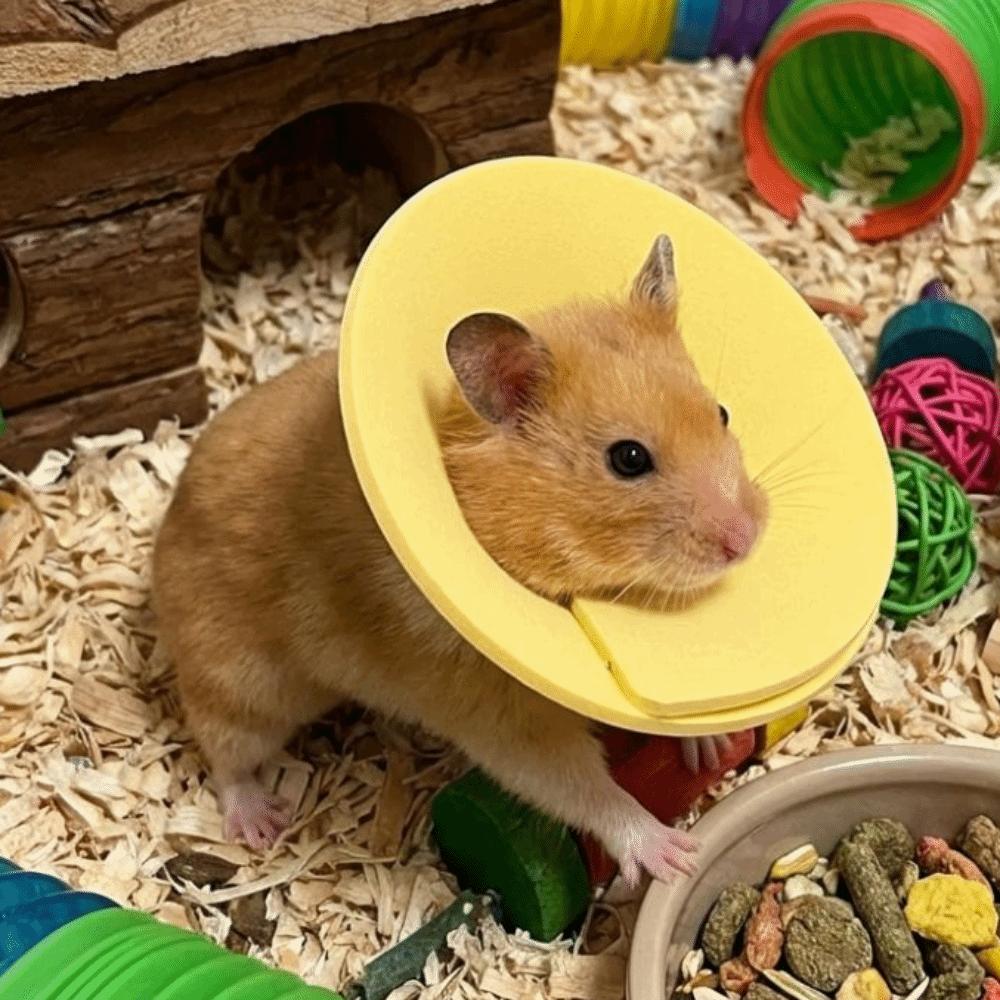 Adjustable Anti Licking Collar Anti-Bite Protective Collar for Bird Hamster Rabbit