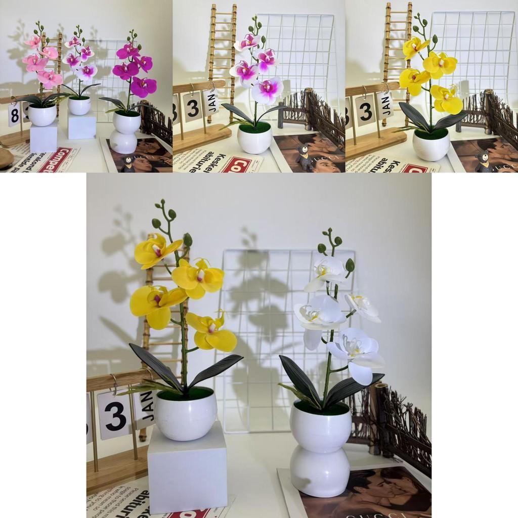 Realistic Artificial Orchid Arrangement With Small Round Pot For Indoor And Outdoor Decoration