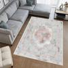 Washable Printed Carpet RVG0776