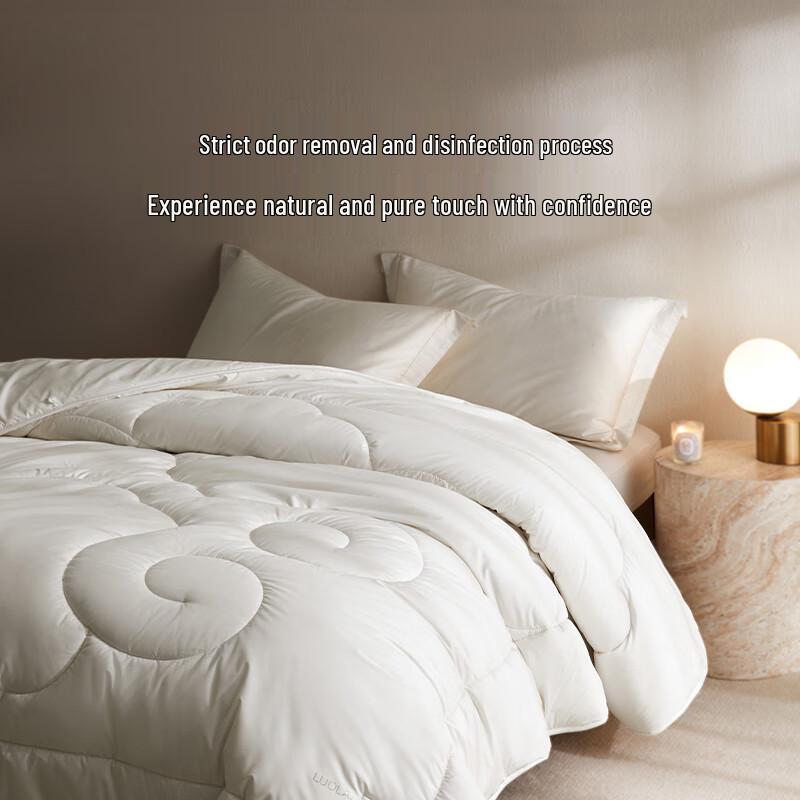 LUOLAI Silk and Wool 2-in-1 Comforter Set