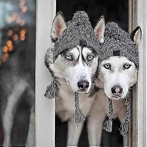 Warm Pet Dog Knitted Hat Small Dog Hat Winter Dog Hat With Ears