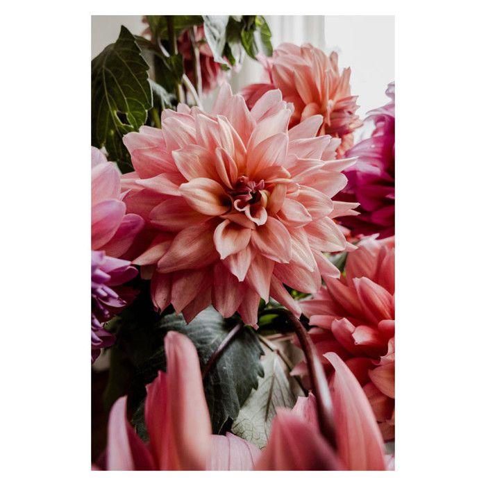 Zoom nikon pour hybride zoom objectif nikkor z dx 12-28mm f/3.5-5.6 pz vr