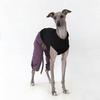 Fashion Cotton 4-legged Pajamas For Whippet & Italian Greyhound, Adjustable Lightweight Dog Coat For Sighthounds Spring Summer