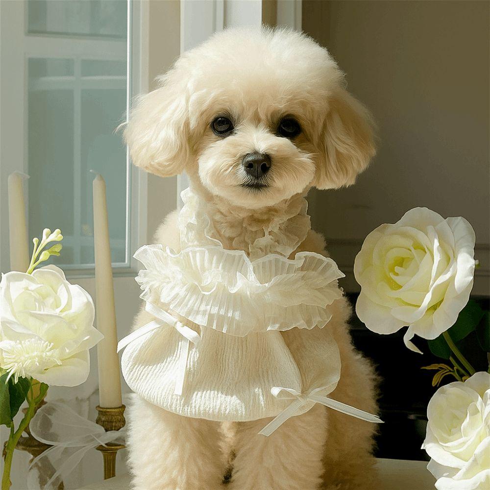 Breathable Summer Pet Vest Soft Cat Princess Skirt Fashion Pet White Lace Camisole  Poodle