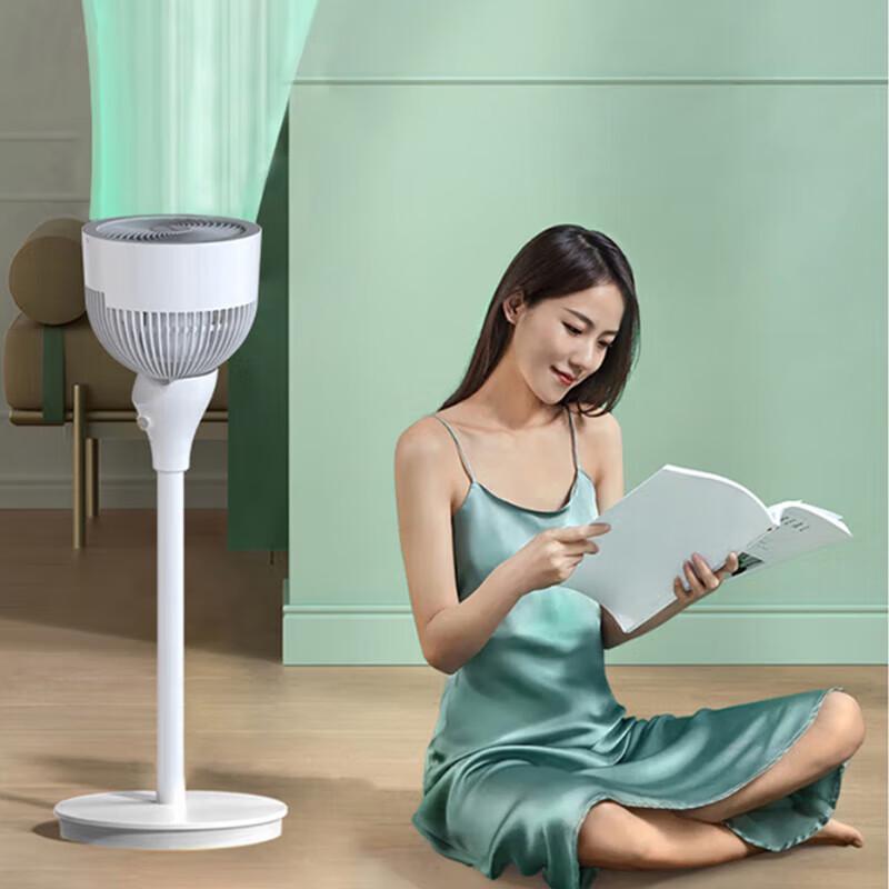 Airmate FA18-X80 Standing Air Circulator Fan CN plug (adapter included)