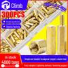 300PCS M3 Mixed Hexagonal Copper Spacer & Screw Column Set