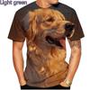 2024 Fashion Short Sleeve Cute Dog Summer 3D Printed T-Shirt Golden Retriever Fashion Casual Men's T-Shirt