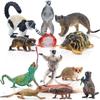 TOYMANY Madagascar Animal Figures, 12-Piece Hand-Painted Educational Set