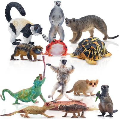 TOYMANY Фигурка животного Мадагаскара Реалистичная дикая природа Животная модель джунглей Популярный день рождения Новый возраст 6 лет и старше Набор из 12 штук, Игрушки, Набор, Игрушка, Подарок,