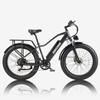 Electric Bicycle Burchad Rx20 750W Peak Motor 26" Fat Tire All Terrain Adult Electric Bike 48V 20Ah Dual Disc Brakes 7 Speed LCD Display