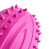 Dog Rugby Ball Toy Bite Resistant Teeth Grinding TPR Interactive Dog Chewing Toy for Small Dogs