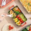 Double-layer Student Lunch Box With Seasoning Box  Worker Microwave Heating Lunch Box Student Special Compartment Lunch Box