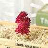 Yousheng 1Pc Artificial Succulent Plant Flocking Flower DIY Home Office Bonsai Decoration
