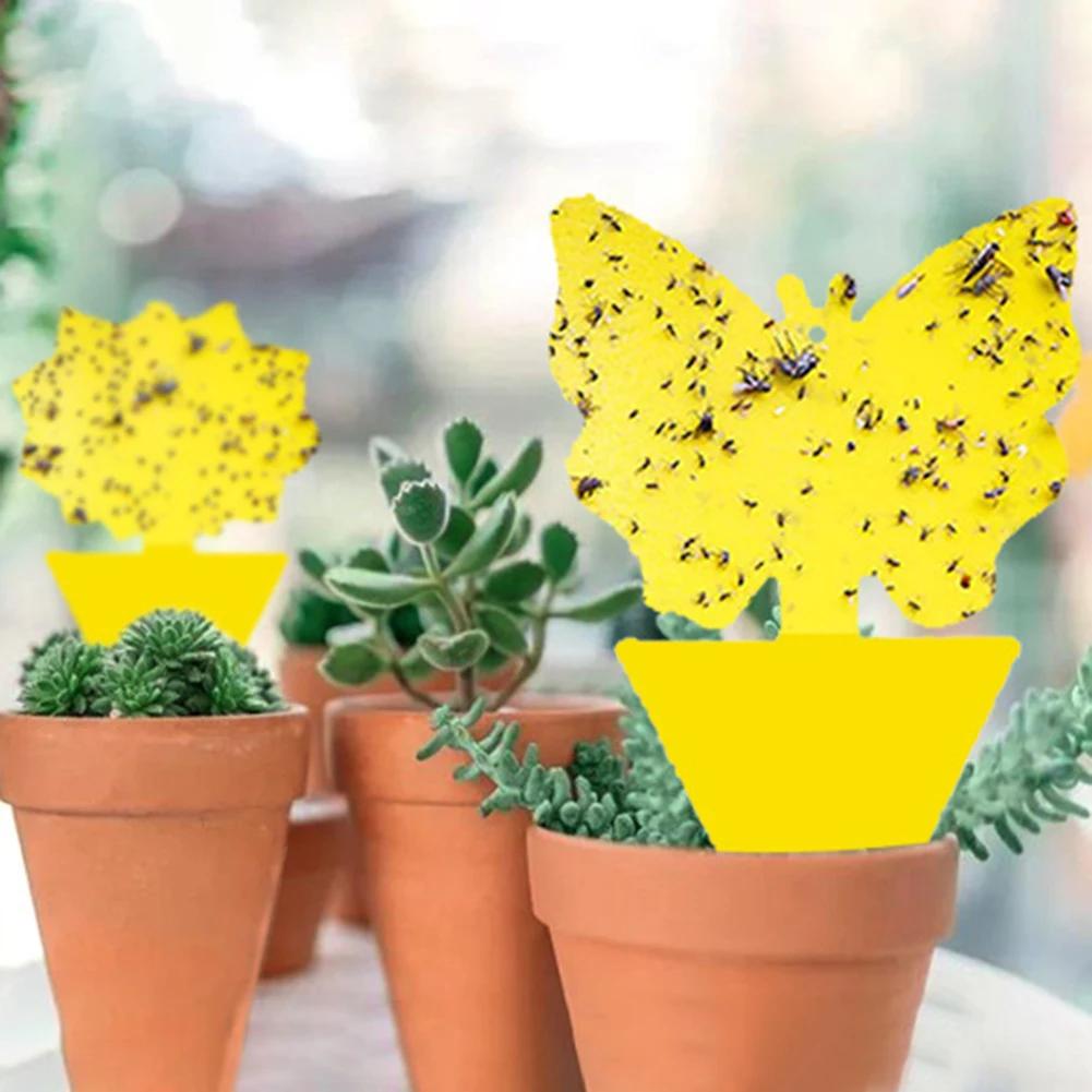 100-10pcs Dual-Sided Insect Mosquito Sticky Trap For Garden Insect Killer Whitefly Thrip Fruit Fly Gnat Waterproof Sticky Board