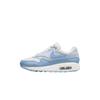 Кроссовки Air Max 1 GS Sail Blue Tint для детей Psychic-Blue DZ3307-116