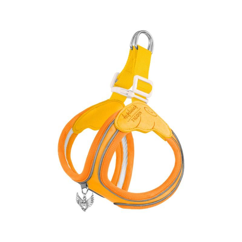 Adjustable Pet Harness With Leash Small To Medium Dogs Cats Non-Extendable Safety Chest Strap