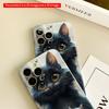 2DFlat Black Cat with Kitten Companions All inclusive film hard iPhone case, compatible with iPhone 18 Pro Max 17 16 15 14 13 12 11