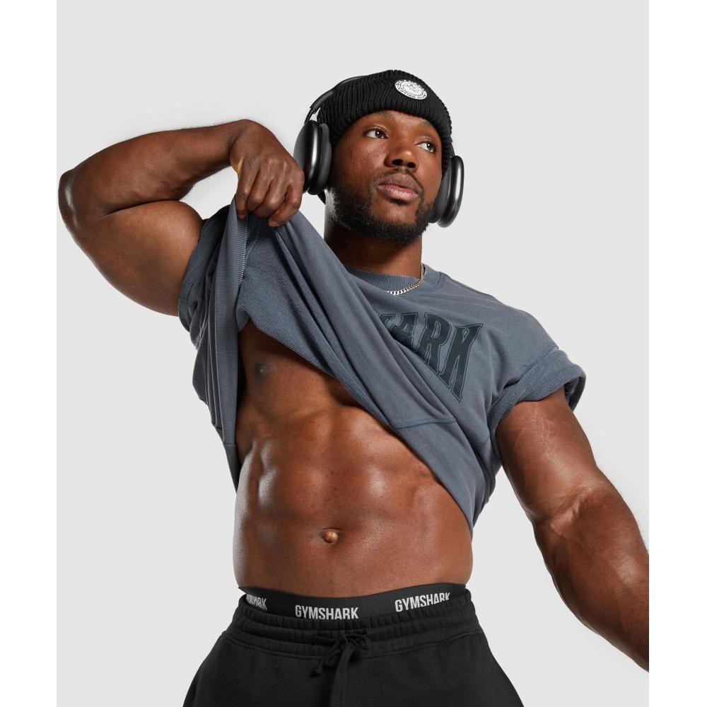 Gymshark Heritage Washed с коротким рукавом Crew Titanium Blue A4a8d Ucms