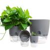 Not Easily Deformed Self Watering Hydroponic Vases Self-absorbing Water Lazy Flower Pot  Home