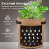 Non-Woven Felt Grow Bag Large Diameter Potato Planting Bag Seedlings Growing Bucket with Window for Vegetables Strawberries
