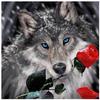 Полный 5D Diy Алмазная картина Diaohua волк Алмазная вышивка Наборы крестиков Домашний декор Подарки ручной работы