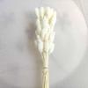 Preserved Rabbit Tail Grass Bouquet - DIY Dried Flower Decoration with Pampas Grass