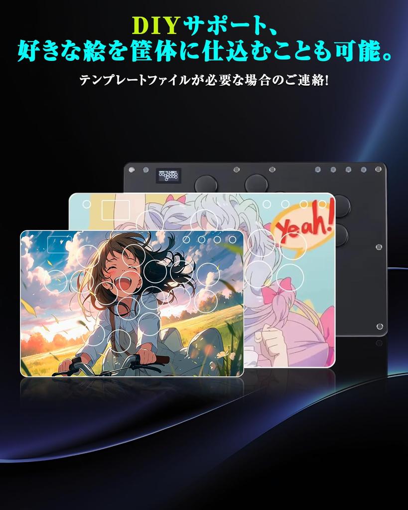 Haute42 Akecon Leverless Leverless Controller T16 PRO Black Silent Buttons Extremely Comfortable To Press Slim and Wide Top Plate EVO Tournament Can