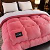 New Super Warm Lamb Wool Quilt Winter Thickened Cotton Quilt Warm Cotton Double Sided Velvet Soft Extra Large Blanket