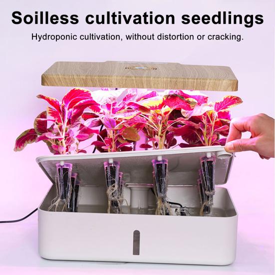 Набор для гидропоники с семенами и корзинами для посадки, более 350 семян, включая базилик, петрушку, кинзу, многоразовые пластиковые корзины, принадлежности для гидропонной посадки