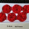 Preserved Yunnan Carnation Flowers – Perfect Mother’s Day and Birthday Gift